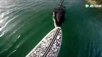 死水最新爆料,最新爆料揭露惊人内幕 第3张 死水最新爆料,最新爆料揭露惊人内幕 第3张