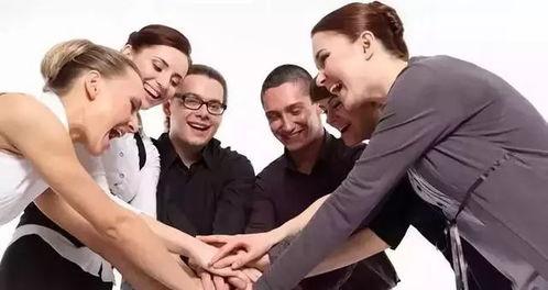 叉叉团队最新爆料,行业动态大揭秘! 第2张 叉叉团队最新爆料,行业动态大揭秘! 第2张